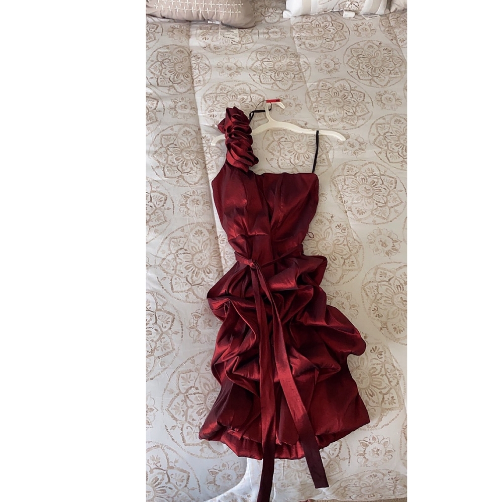Rose red burgandy satin dress